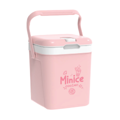 Thùng đá Duy Tân minice 1 lít